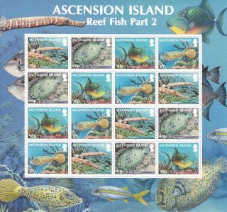 Ascension Island 2012 Reef Fish Part 2 16v Sheetlet Trumpetfish Flounder photo