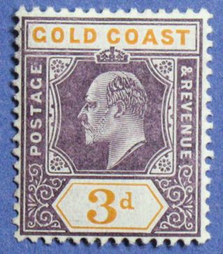 1905 Gold Coast 3d Scott 53 S.  G.  53 Cs01335 photo
