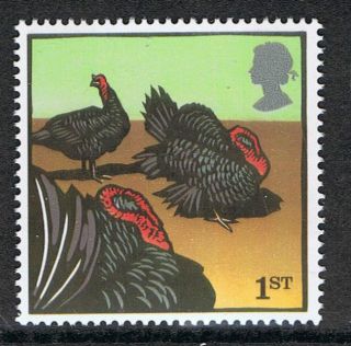 Norfolk Black Turkeys Illustrated On 2005 British Stamp - Nh photo