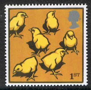 Light Sussex Chicks Illustrated On 2005 British Stamp - Nh photo