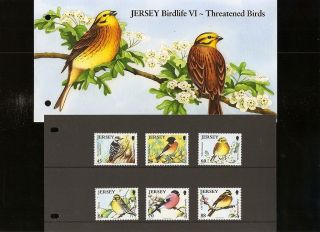 Jersey Presentation Pack Jersey Birdlife Vi - Threatened Birds photo