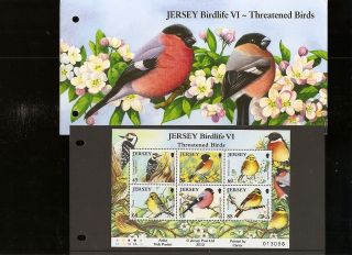 Jersey Presentation Pack Jersey Birdlife Vi - Threatened Birds Sheetlet photo