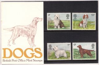 Gb 1979 Dogs - Sheepdog Springer Spaniel Terrier Setter - Presentation Pack 106 photo
