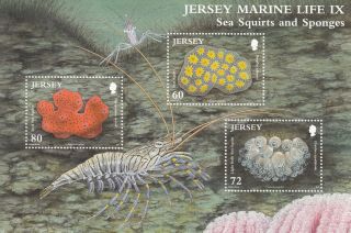 Jersey 2011 Marine Life Ix Sea Squirts & Sponges 3v Sheet Red Squirt Star photo