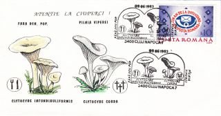 (22523) Romania Fdc - Mushrooms / Fungus 1993 photo