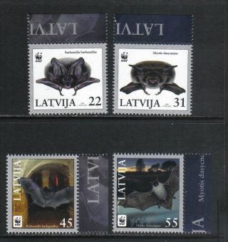 Latvia 2008 Local Bats - - Attractive Animal Topical (703 - 06) photo