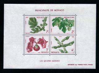 Monaco 1983 Four Seasons Fig Tree 