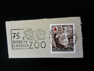 1953 Leipzig East Germany 75 Years Leipziger Zoo Fancy Cancel Stamp Sc 177 photo