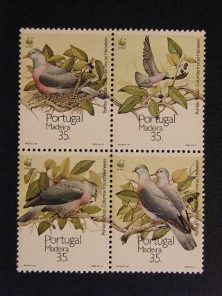 Portugal 1991 - Protecao Da Natureza - Madeira - photo