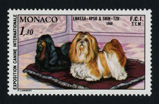 Monaco 1235 Dogs,  Lhasa Apso,  Shih - Tzu photo