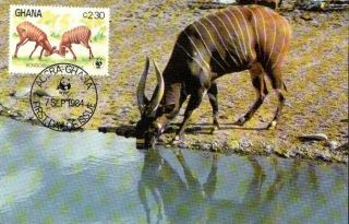 (72349) Maxicard - Ghana - Antelope 1984 photo