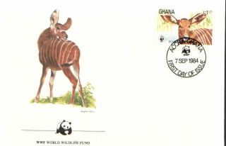 (72351) Fdc Wwf Ghana - Bongo Antelope photo