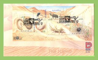 Namibia 2000 The Namib Desert Miniature Sheet First Day Cover photo