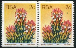 South Africa 1977 Protea Definitive Isssue 2c Coil Pair With Variety photo