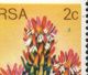 South Africa 1977 Protea Definitive Isssue 2c Coil Pair With Variety Africa photo 2