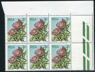 South Africa 1977 Protea Definitive Isssue 2c Corner Block With Varieties photo