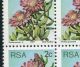 South Africa 1977 Protea Definitive Isssue 2c Corner Block With Varieties Africa photo 2