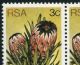 South Africa 1977 Protea Definitive Isssue 3c Corner Block With Variety Africa photo 2