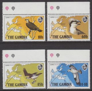 Gambia - 1983 The Osprey (4v) Um / photo