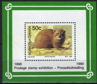 Bophuthatswana South Africa 1990 50c Stamp Philatelic Foundation Ms Ref:b550 photo