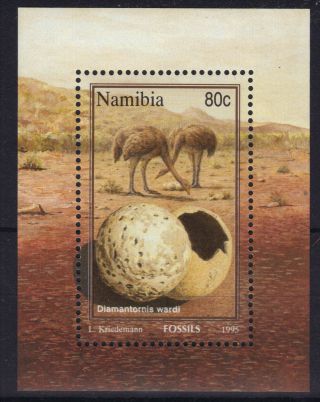 Namibia Swa 1995 Fossils Philatelic Foundation Mini Sheet Unmounted Re:y544 photo