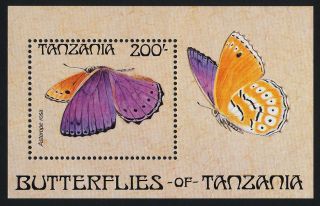 Tanzania 454 Butterfly photo
