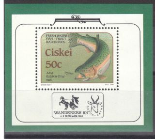 Ciskei S.  Africa 1989 50c Fish Sg152 Stamp Philatelic Foundat Mini Sheet Re:y554 photo