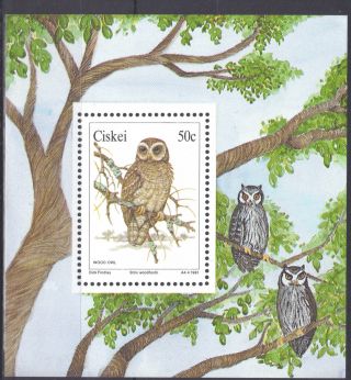 Ciskei S.  Africa 1991 Owl 50c Bird Stamp Philatelic Mini Sheet Um Ref:y558 photo