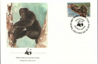 (72515) Fdc Wwf - Sierra Leone - Chimpanzee - 1985 photo