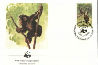 (72517) Fdc Wwf - Sierra Leone - Chimpanzee - 1985 photo