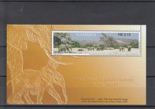 Namibia 2003 Winning Stamp 8th World Cup Sg Ms953 Elephants Hoarusib River photo