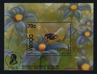 Venda 244a Bees,  Flowers,  Insects photo