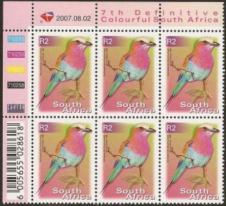 South Africa 2000 - 10 R2 Lilac Breasted Roller Bird 12th Control Block Sg.  1286 Um photo