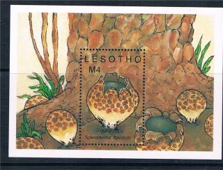 Lesotho 1989 Fungi Ms Sg 904 photo