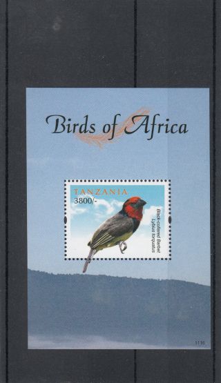 Tanzania 2011 Birds Of Africa 1v Sheet I Black - Collared Barbet photo
