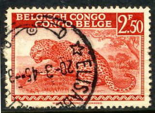 Belgian Congo - 2franc 50c Red Leopard - 1910 - Sg 263a - photo