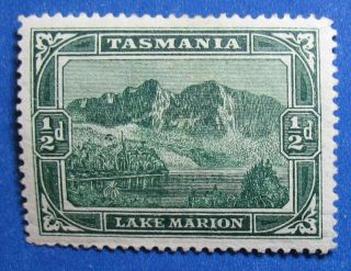 1900 Tasmania Australia 1/2d Scott 86 S.  G.  229  Cs16667 photo