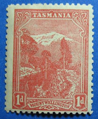 1905 Tasmania Australia 1d Scott 103 S.  G.  250a Cs16693 photo