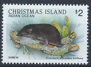 Christmas Island 1987 Sg243 Wildlife $2 Shrew A 002 photo