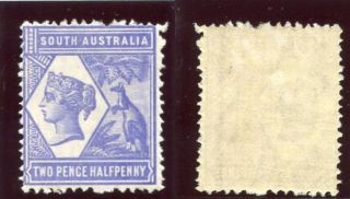 South Australia 1894 Qv 2½d Violet - Blue Mlh.  Sg 234. photo