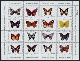 Nepal 817 Butterflies photo