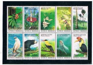 Indonesia 1996 Flora And Fauna (block Of 10) photo