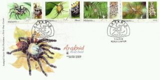 Arachnid,  Spider,  Insect Malaysia 2009 (stamp Fdc) photo