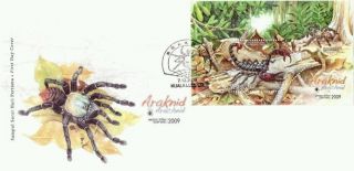 Arachnid,  Spider,  Insect Malaysia 2009 (miniature Fdc) photo