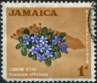 Jamaica 1964 - 8 1d Violet - Blue,  Deep Green And Light Brown Sg217 Cv£0.  10 Uh photo