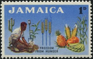 Jamaica 1963 1d Multicoloured Sg201 Cv £0.  25 F Mh Postage photo