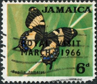 Jamaica 1966 6d Multicoloured Sg249 Cv £0.  50 F Uh Postage photo