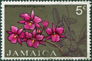 Jamaica 1973 5c Multicoloured Sg375 Cv £0.  10 Vf Postage photo