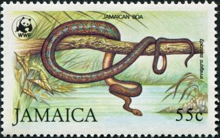 Jamaica 1984 55c Multicoloured Sg608 Cv £7.  00 F Mh Postage photo