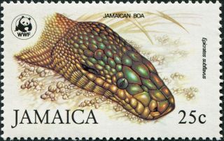 Jamaica 1984 25c Multicoloured Sg607 Cv £6.  00 F Mh Postage photo
